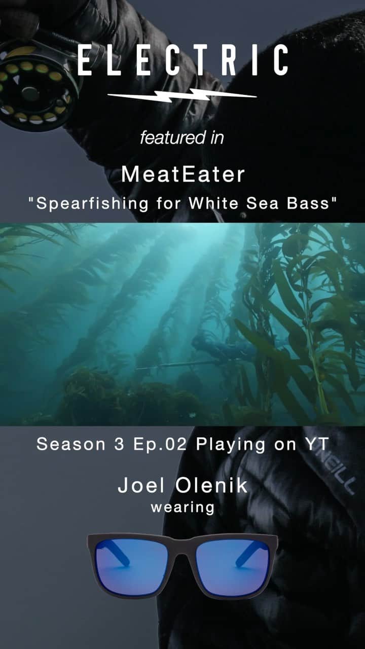 Electric_Fishingのインスタグラム：「This is a teaser for a recent episode of @meateater that features our very own @seabeagle and @rtmoore5 .  To watch the full clip, click the link in our story.   #ElectricSunglasses #PolarizedSunglasses #StyleThatPerforms #ElectricFishing」