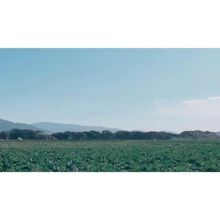 のインスタグラム：「#カロリーメイト #青いカロリーメイト」