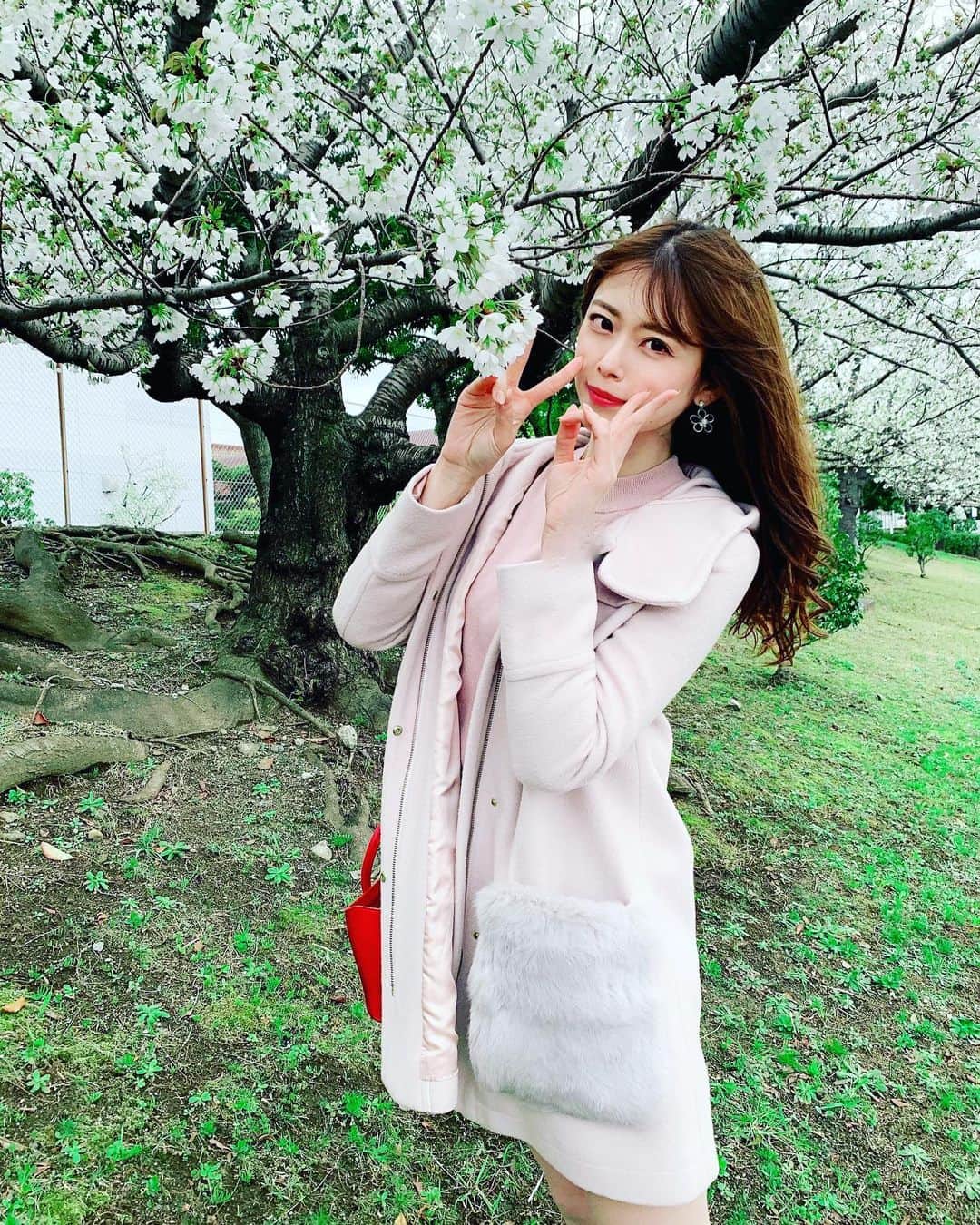 羽瀬萌さんのインスタグラム写真 - (羽瀬萌Instagram)「白い桜🌸✨  #お花見 #撮影　#撮影会　#japanese #japanesegirl  #レースクイーン　#ラウンドガール　#モデル」4月7日 12時36分 - megugumigumi