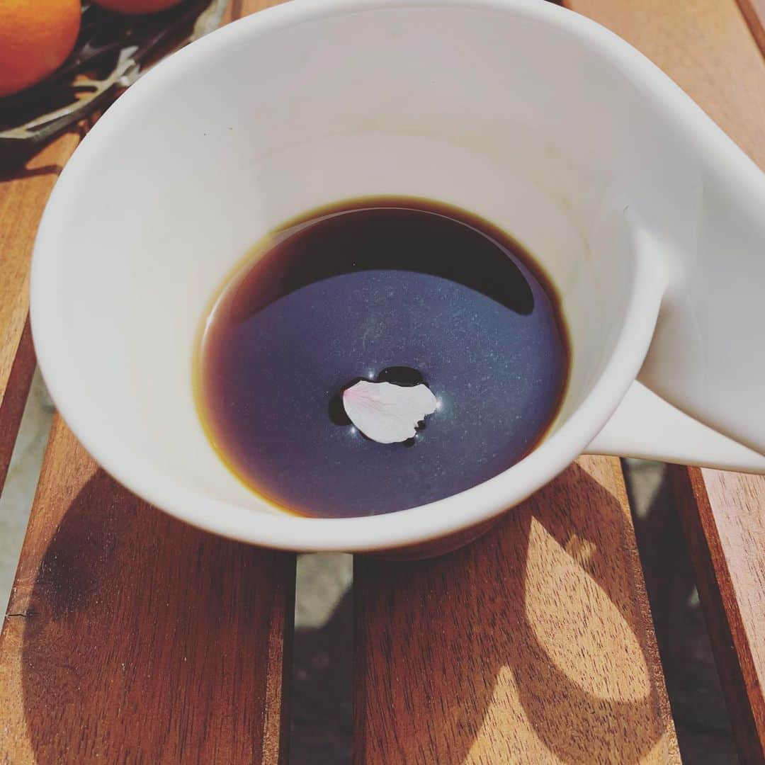 相川七瀬さんのインスタグラム写真 - (相川七瀬Instagram)「家の桜がやっと満開🌸外でコーヒー飲んでいたら、カップに花びら。嵐の前のひととき。来週、月曜日から大学の前期が始まります😅  #桜」4月7日 13時16分 - nanasecat