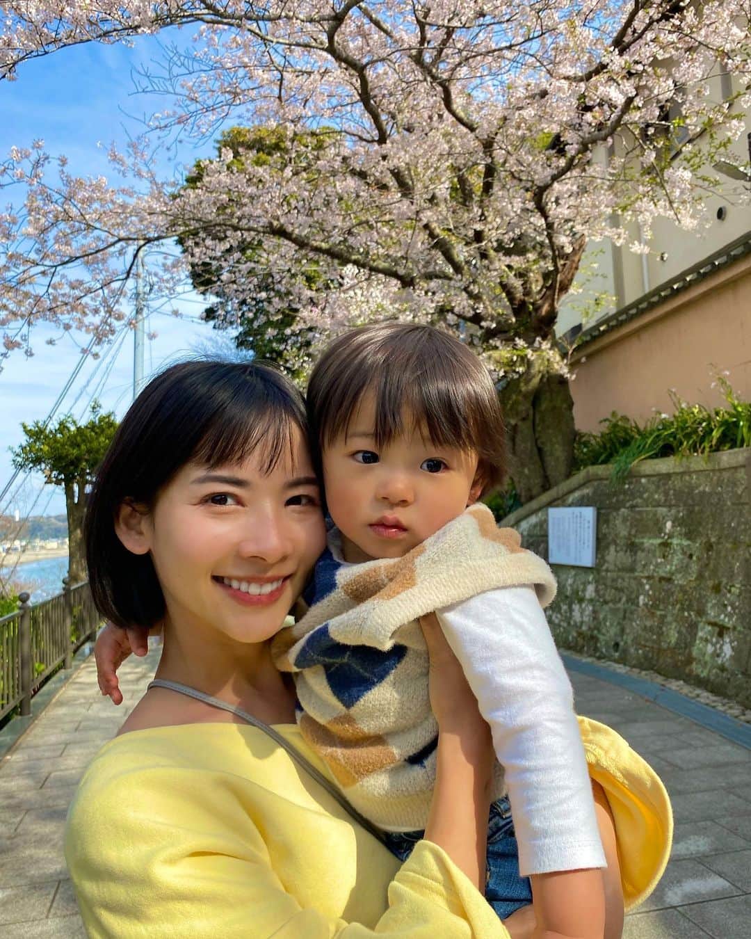 阪本智子さんのインスタグラム写真 - (阪本智子Instagram)「👦🏻♡  2022.04.07 今日で碧羽が#1歳8ヶ月 になりました💗  こんなこともできるの？！と、 毎日驚きの連続であっという間にまた1ヶ月が経過😂❕  両親のよく喋るところ、よく笑うところ、陽気なところ、ママの魚好きなところ、パパの穏やかさはしっかり受け継いでくれています🧬✨ 要領の良さはどっち似かしら？😏  長くなるけど💦 記録として出来るようになったことを書いておこう📝  ★言えるようになったこと ・あおくん→アオクン ・飛行機→コーキ ・靴→クク ・耳→ミミ ・目→メ ・口→エチ ・ウォルト→ウォント ・猫→ニャー ・バナナ→ニャニャ ・にんじん→ニンジンチャン ・すごい→ゴーイ ・美味しい→オイチ/ウマイ ・可愛い→カーワイ ・プール→プーウ ・怖い→コワーイ ・ハンバーグ→アンマンン ・お○っこした→チッチーヤ(お○っこやう○ちをした時にかなりの確率で教えてくれるようになりました) ・ありがとう→アットゥ(お辞儀をしながら)  ★認識しているキャラクター パウパト ロッキー→ロッキー パウパト ラブル→ラボゥ パウパト スカイ→カイ パウパト ズーマ→ンーマ アンパンマン→アンマン  ★できるようになったこと ・おもちゃの線路を組み立てられる ・"そこに立ってはいチーズ"でポーズを取る ・ストップというと止まる(たまに) ・平均台や網の遊具を歩けるようになった ・"お風呂に入るよ"と言うと服を脱ごうとする ・お風呂で体を洗おうとする ・ボディクリームを塗ろうとする  ★週３通っているプールでは、 ついに腕の浮き具から腰の浮き具に移行しました🏊‍♂️✨ しっかり手足を動かせるようになるといいなぁ❕  お昼はマスクの紐を触りながら寝たり、夜は首に抱きつきながら寝たりまだまだ甘えたくんですが💙  最近、自分より小さい子にいないいないばぁをしてあやしてあげたり、ニコニコしながら見たりとだんだん男の子になってきました✨ このまま優しい子に育つように愛情たっぷり育児頑張ります☺️💗  そういえば、、 イヤイヤ期ってそろそろなのかな😅？  #family #mama #son #20ヶ月 #息子 #ママ #子育て #育児 #男の子 #男の子ママ #親バカ部 #親子リンクコーデ #お花見 #桜 #阪本智子」4月7日 14時16分 - tomoko_sakamoto423