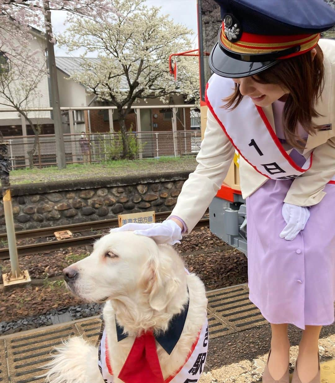 上山真未さんのインスタグラム写真 - (上山真未Instagram)「⁡ 先日、長良川鉄道の一日駅長をつとめました🌟 ⁡ 沿線の郡上市出身のわたしにとって 長良川鉄道は大事なふるさとの1ページ。 ⁡ 一両編成のかわいらしい車両が 豊かな自然の中を走る様子が大好きです☺️ ⁡ 3枚目は、 「ときどき駅長」に就任したわんちゃんと🐕 お利口さんで可愛かったなぁ💓 ⁡ 貴重な機会を頂けて感謝感謝です🙇‍♀️ これからおくみの号が多くのひとに 愛されますように☺️🌈 ⁡ ⁡ #長良川鉄道 #おくみの号 #一日駅長 #わんこ駅長 #東海テレビ #アナウンサー #上山真未 ⁡ ⁡」4月7日 14時47分 - ueyama_mami