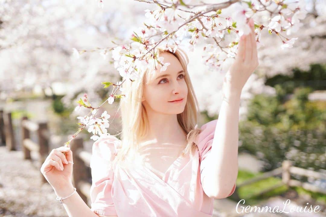 ジェマ・ルイーズのインスタグラム：「春大好き🌸　#桜 #さくら #花見 #春 #ポートレート #モデル #グラビア #sakura #cherryblossom #hanami #japan #cherryblossoms #🌸」