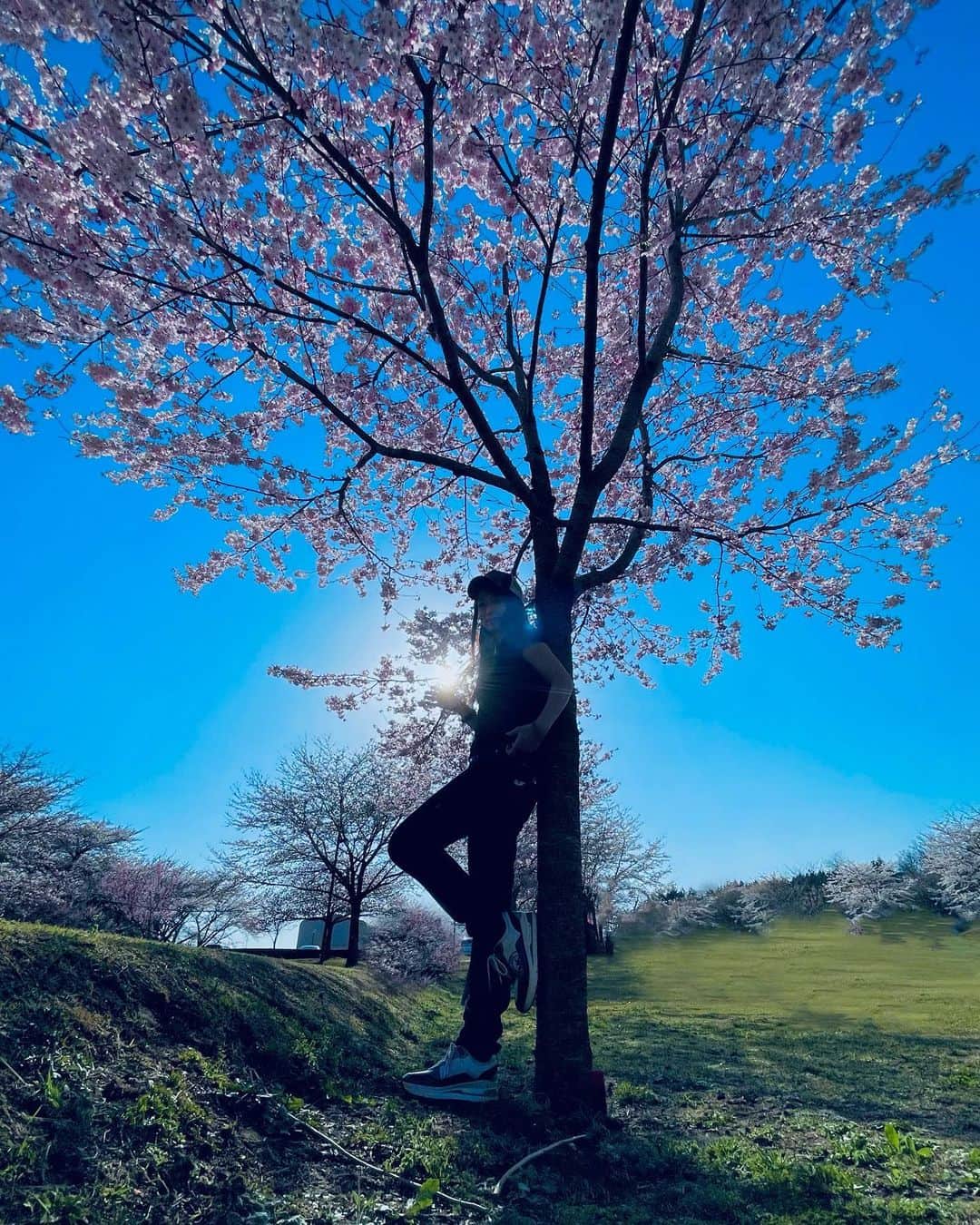 のインスタグラム：「🌸 たまたま太陽☀️と握手した写真📸💕   #後楽園遊園地で僕と握手 的な😎  ⚠️靴が木についてるように見えるけど実際はついてません☺️💕 #遠近法 バンザイ     #🌸 #桜 #日本 #Japan #サクラ  #cherryblossom  #photography   #吉山りさ #モデル #model #Japanese #バスタオル女子 #バスタオルモデル #温泉 #温泉ソムリエ #お酒 #お風呂 #温泉モデル #温泉女子 #hotsprings #bañarse #모델 #pr #インフルエンサー #onsen #出張撮影   フリーで活動中🎬📸  🌸🌸🌸」