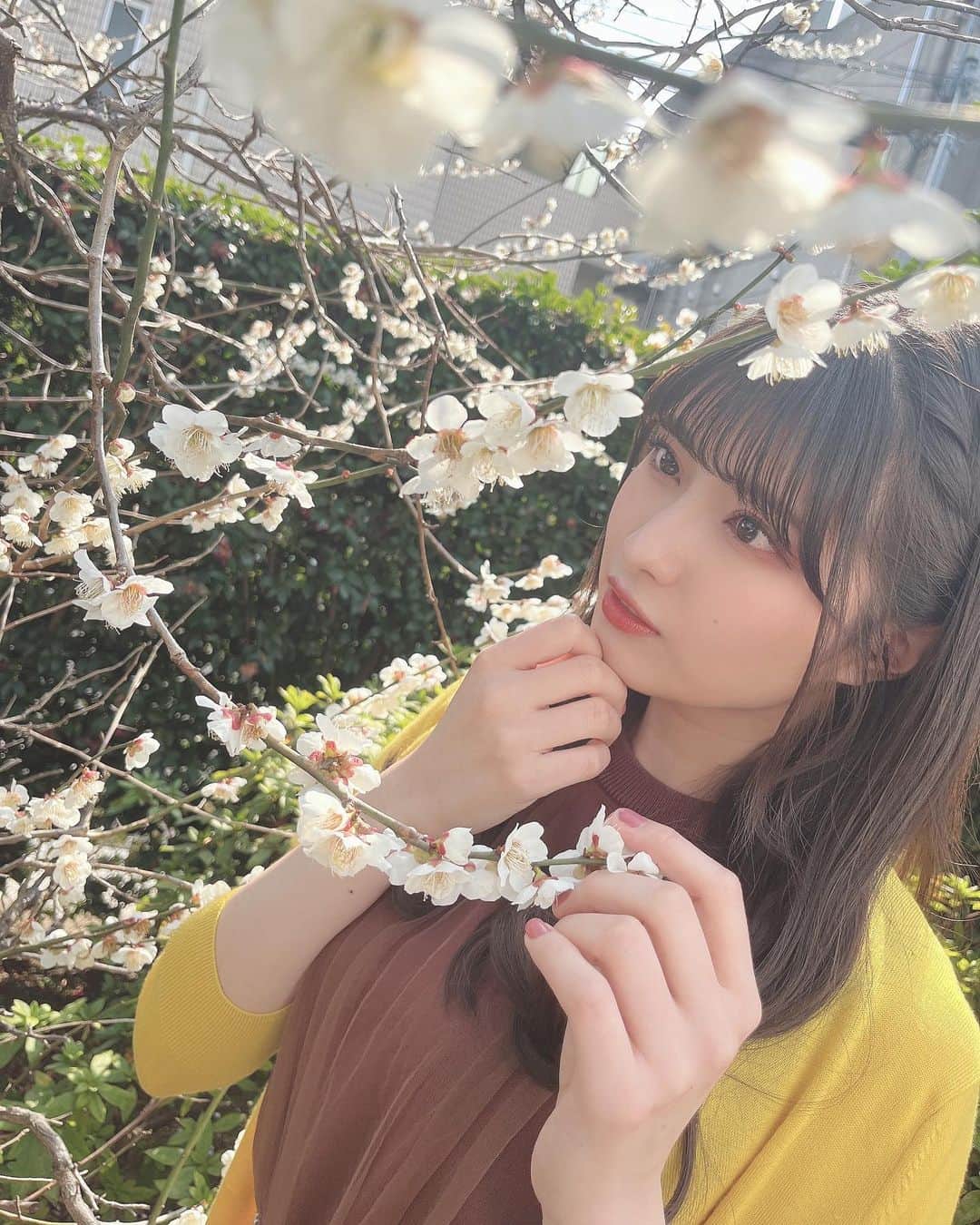 行天優莉奈さんのインスタグラム写真 - (行天優莉奈Instagram)「🌸🍡🍡🍡🍡🍡🌸  #桜 #BIGONEGIRLS #オフショット」4月7日 16時26分 - yurina.0314