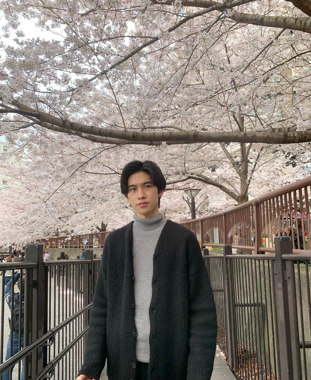 阪本一樹のインスタグラム：「先日中目黒行ってきました！  桜満開でした🌸」