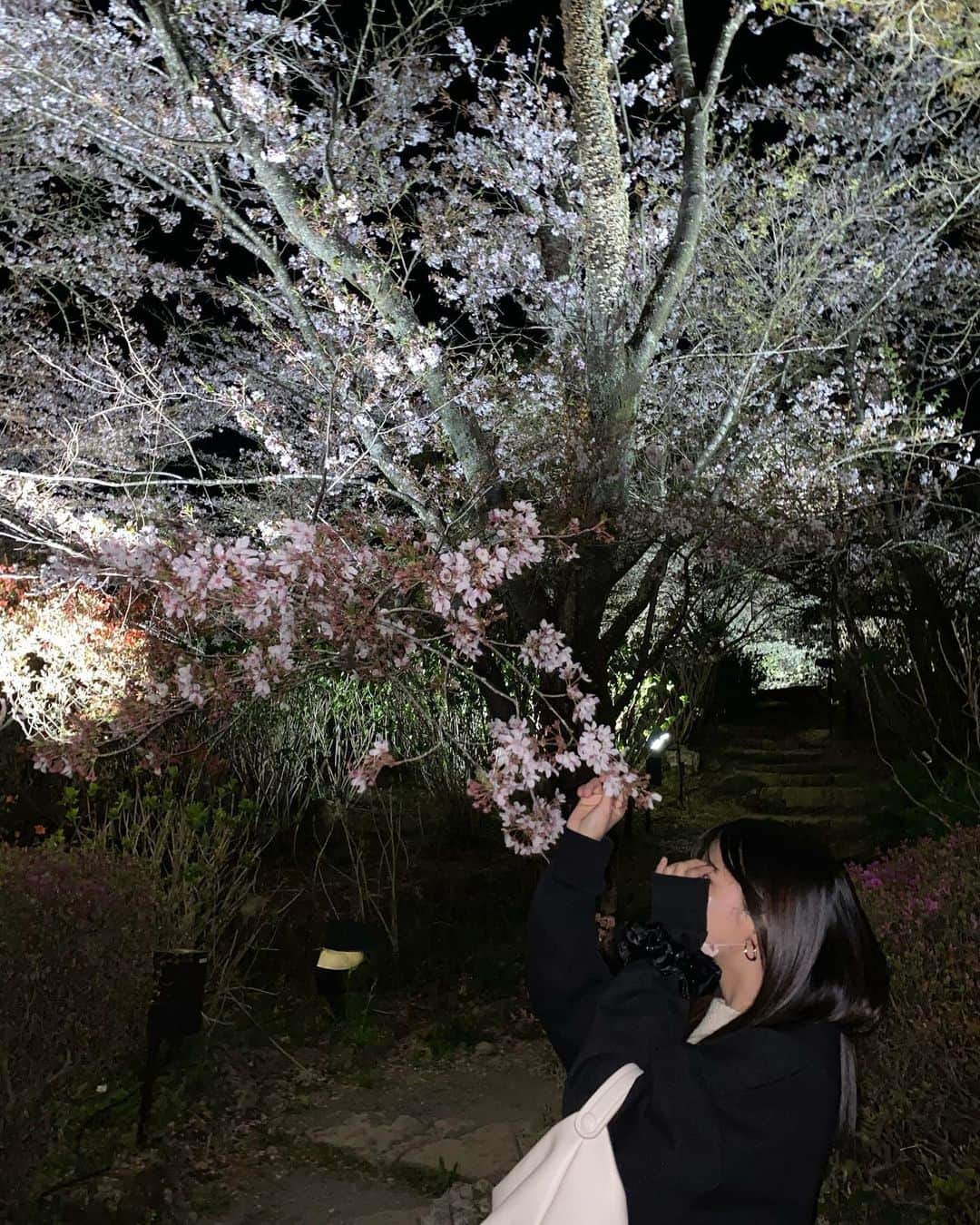 田中千織さんのインスタグラム写真 - (田中千織Instagram)「ふらっと夜桜見に行ったんだけど、 ほんっと絶景だった、！！🌸 最後やばいから見て(^_^)   #夜桜  #御船山楽園」4月7日 20時02分 - chi0o_109