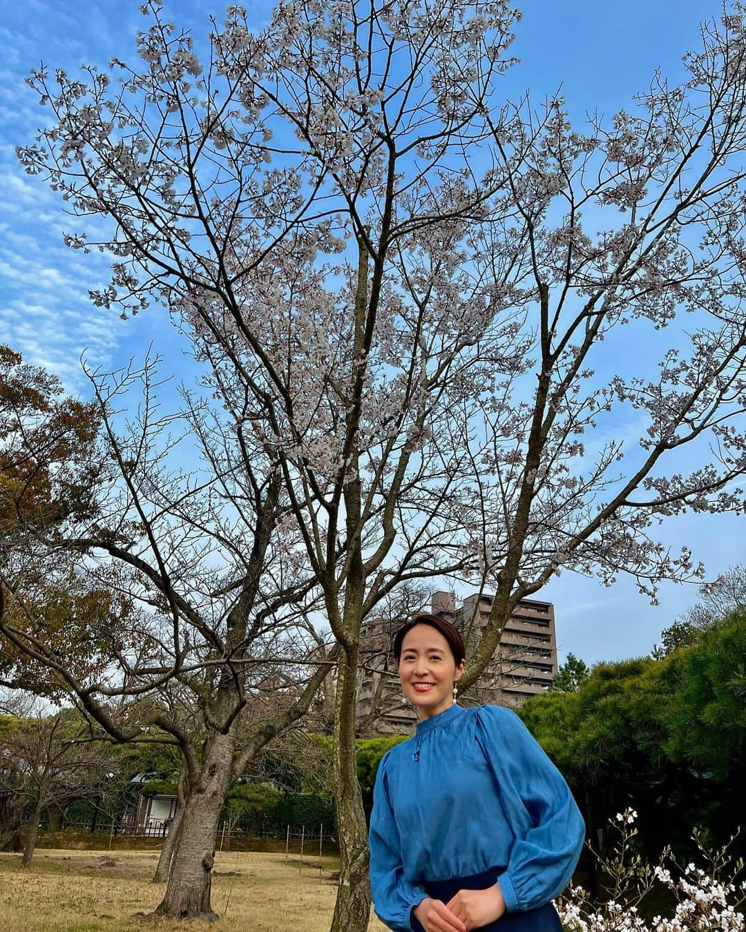 木内晶子のインスタグラム：「蕾だった桜があっという間に花開きましたね🌸桜ひらひら舞い降りて落ちて〜桜最高です✨4月7日本日から新しくOHK「サン讃かがわPLUS」が夜9時54〜はじまります。 #サン讃かがわplus」