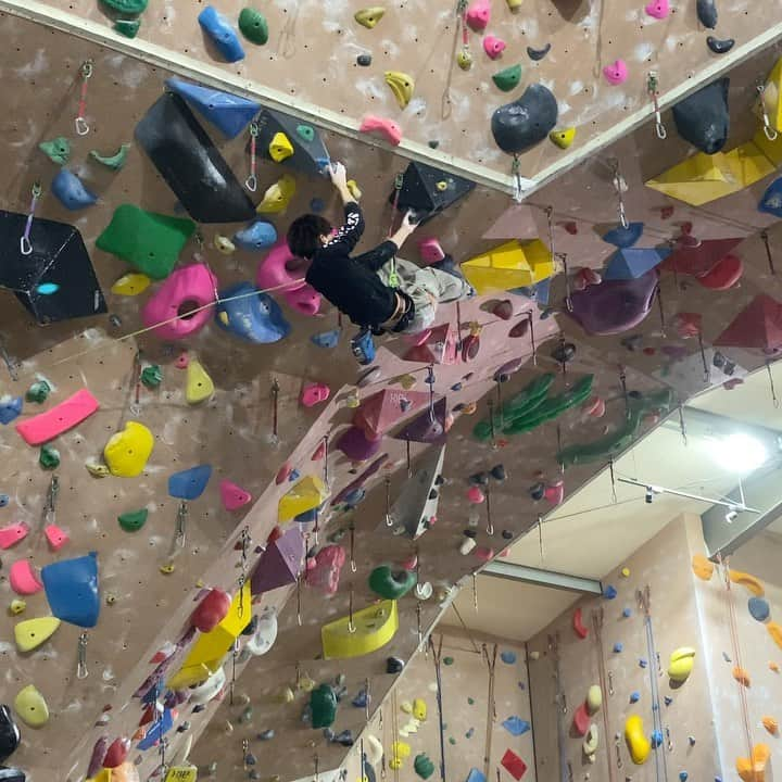 大高伽弥のインスタグラム：「New 14A / 8B+🌟 @climbparkbasecamp  set by @sachiamma  vid by @takeishi._.hatsune   試登の時に悔しい落ち方をしたサチさんのルート。 今日はしっかりリベンジしました👍  一手一手の強度は高くはないんだけど、徐々にパンプしていく感じがたまらない😏  慣れてきたらトレーニングルートになりそう❗️ 今後とも精進します。  @tokyopowder  @eyecandyworks  #緑風堂鍼灸院  #climbparkbasecamp #bci #climber #bouldering #climbing #routesetting #climbinggym #boulderinggym #saitama #iruma #indoorsports  #ボルダリング #クライミング  #クライミングジム #ボルダリングジム#入間市#武蔵藤沢#埼玉県#インドア」