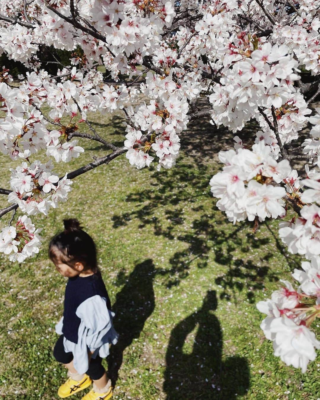 小屋春菜のインスタグラム：「先日、娘の3歳の誕生日🎂 誕生日プレゼントはIKEAのキッチンにしました🍳 毎朝、毎夕、キッチンに立っていますが何も分からず ダァァ〜👶とくる息子に怒っています🥳」