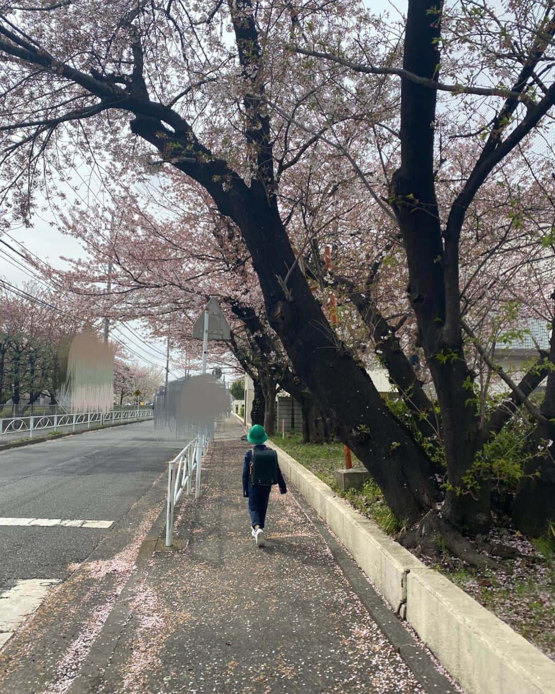 加藤怜さんのインスタグラム写真 - (加藤怜Instagram)「入学おめでとう🌸♡  楽しい小学校生活になりますように🙂♡  友達100人出来るかな🙂♡  #入学式 #新一年生」4月7日 21時39分 - katou_rei