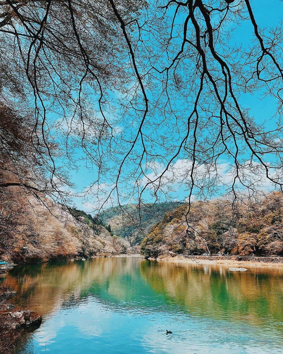 平祐奈のインスタグラム：「🌸🍃🍂🌿🌸  春の芸術。  心が豊かになります。ｷﾗｰﾝ」