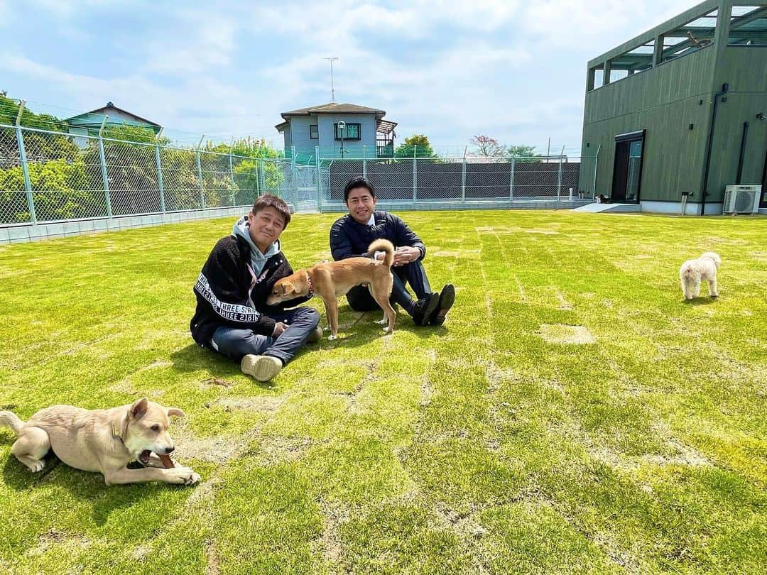 榎並大二郎のインスタグラム：「. 今日の『イット！』前に、坂上さんにお会いしてきました。 ⁡ オープンしたばかりの動物保護ハウス"さかがみ家"。 ⁡ 坂上さんは相変わらずとてもお忙しそうでしたが… たくさんのワンちゃんネコちゃんに囲まれて、 穏やかな表情をされていたのが印象的でした。 ⁡ ひろーいドッグランに座ってお話していて、ふと、 「バイキング終わりはこうして坂上さんの楽屋で お話ししてたなー」と懐かしい気持ちになりました。 ⁡ 青空の下、いい時間を過ごすことができました。 ⁡ #念願のツーショット #ファイブショットかな #坂上さん #お邪魔しました #さかがみ家」