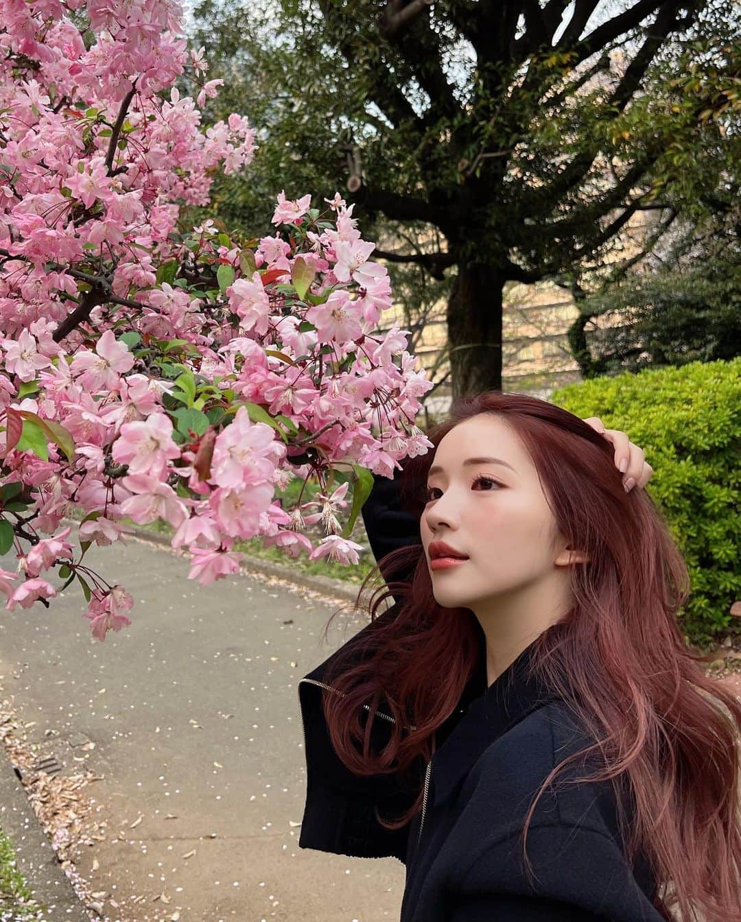 南りほのインスタグラム：「間に合ったよ🌸 今年全然🌸見れなかったなぁ🥲  最近は、色々な事にチャレンジしてて大変だけど毎日が楽しい🤍早くみんなに報告できますように…🤍」