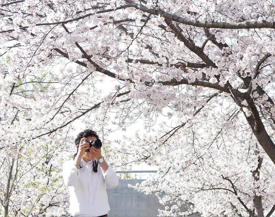 ネイサン・チェンのインスタグラム：「What an amazing experience I had visiting @panasonic_global and touring the @Panasonic Museum in Osaka, Japan, this week. And perfect timing for me to see the cherry blossoms in full bloom next to the museum. 🌸 #TeamPanasonic #PanasonicPartner」