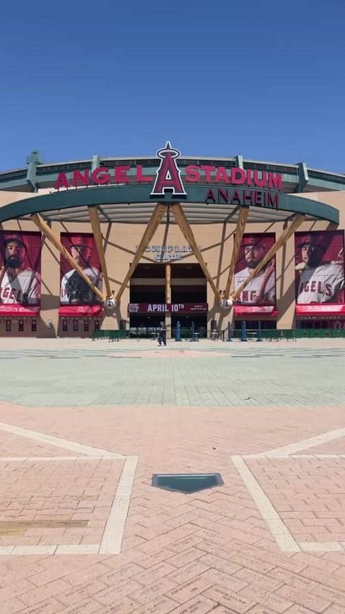 福田太郎のインスタグラム：「メジャーリーグ開幕⚾️ #イチモニ！直前 #インスタライブ 🙆‍♂️ チームストアをご紹介しようと思ったら 果てしなく長い旅路になりました🌭🏟 ⠀ #MLB #Angels #ShoheiOhtani このあと！#大谷翔平 投打二刀流出場⚔️ #メジャーリーグ #エンゼルス #開幕戦」