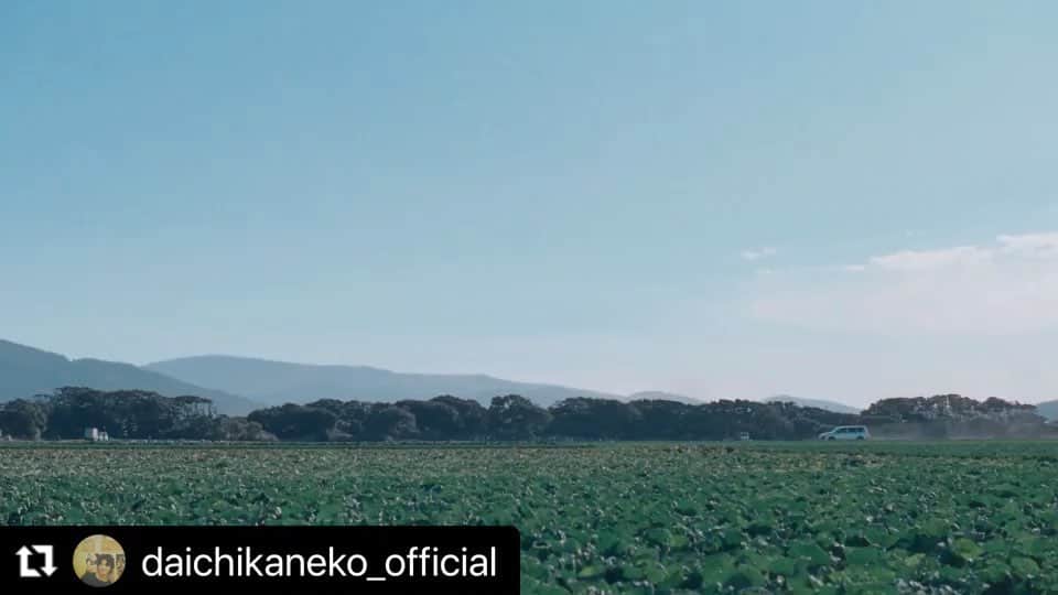 カロリーメイトのインスタグラム：「#Repost @daichikaneko_official  ・・・ 青いカロリーメイト #カロリーメイト」