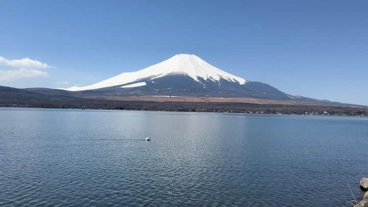 亀田誠治のインスタグラム：「白鳥スイスイ🦢」