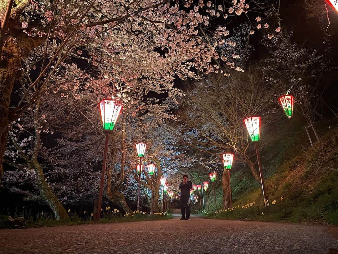 吉川由華さんのインスタグラム写真 - (吉川由華Instagram)「金曜日の夜の過ごし方 #花見🌸 #散歩 #小矢部市 #小矢部 #城山公園 #夜桜 #田舎 #小矢部グルメ」4月8日 22時56分 - yuka1024matsunaga