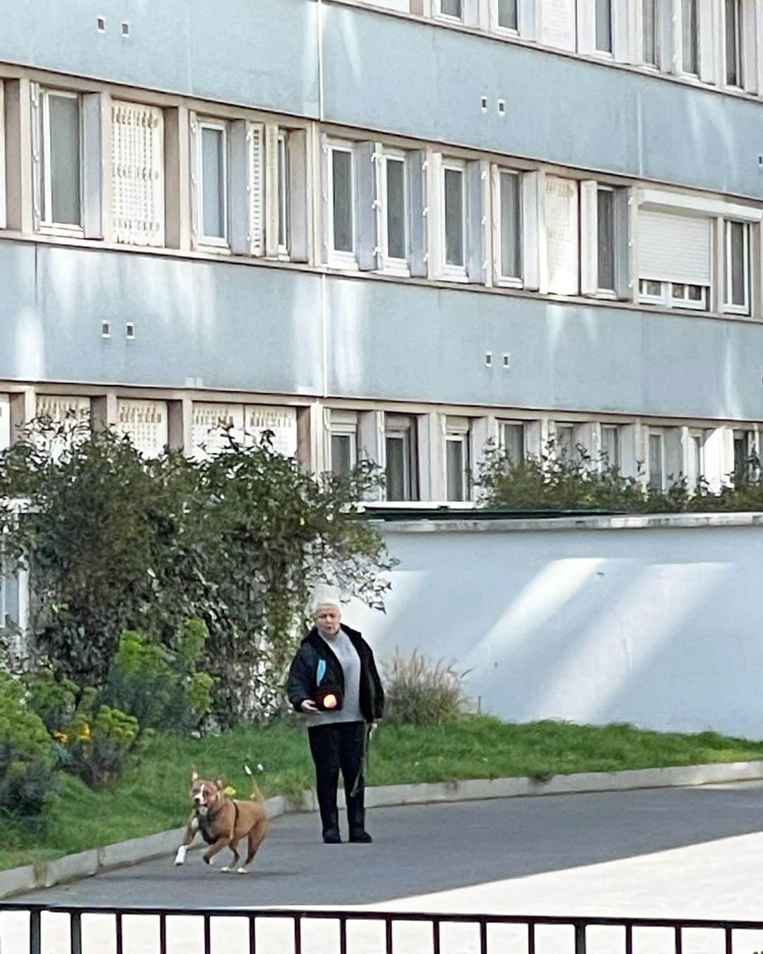 猫沢エミさんのインスタグラム写真 - (猫沢エミInstagram)「朝晩愛犬とお散歩＆ボール遊びをしているパリの小林さんと福ちゃん……と密かに呼んでいた小林さんは、拡大したらマダムだと判明。  小林さんも女子力高いからいっか。  どんなにパリが暮らしやすくても、日本の友達に会いたい🥲  #猫パリ　#猫沢エミのインターナショナル五十路ライフシフト  #猫沢エミリーパリへ行く」4月8日 15時47分 - necozawaemi