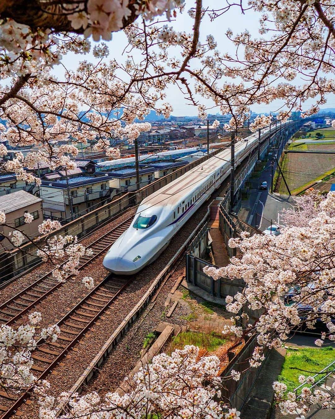 Bi Rod by Lumica.のインスタグラム：「Cherry blossoms in full bloom and Shinkansen, the bullet train.   ■Photo by Takuma Kimura @takuma_kimura_photo ■Equipment Monopod：Bi Rod 6C-7500  #birod #birod6c7500  #highangle #highangleshot #aerialphotography #notdrone #olympus #olympusphtotography #olympuscamera #okayama #japan #sakura #cherryblossom #japanphotography #japanphoto #photooftheday #photo_jpn #photo_japan #japantrip #japan_vacations #japanview #sceneryphotography」