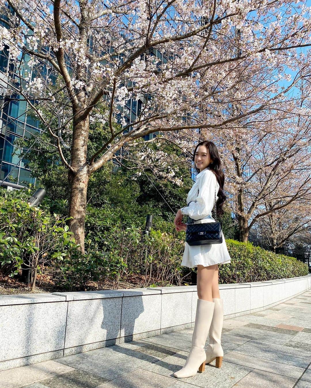 太田麻美さんのインスタグラム写真 - (太田麻美Instagram)「🌸🌸🌸  👗👢 @darich_official  #fashion #outfit #ootd #spring #springfashion #darich #code #春 #桜 #ダーリッチ #シャツワンピース #コルセット #春服 #コーデ」4月8日 17時55分 - asami0523