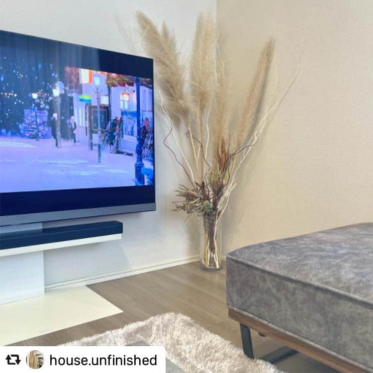［賃貸住宅シャーメゾン］のインスタグラム：「@house.unfinished さんの #シャーメゾンのお部屋🍀  テレビ横に飾られた印象的なこの植物はパンパスグラス💡インテリアのアクセントとして人気のアイテムで、大きなテレビの存在感に負けない素敵なコーナーになっていますね👌  テレビスタンドで配線周りもすっきりとまとめられており、シンプル＆ナチュラルなお部屋づくりを実現されています✨✨  #repost #リポスト #シャーメゾン #積水ハウス #インテリア #賃貸インテリア #スタイリング #シンプルインテリア #リビングインテリア #ホテルライクインテリア #shamaison #sekisuihouse #styling #interiordesign #homedecor #livestagrammer #instahome #hotellike #livingroom」