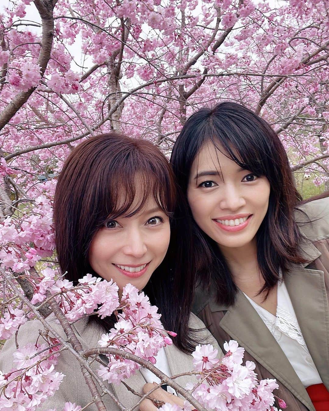 小野寺皐さんのインスタグラム写真 - (小野寺皐Instagram)「. . 丁度満開のときに安里ちゃんと桜の下を歩けました🌸 この春の素敵な思い出☺️✨ . . . . 偶然スカートが同じ色で会った瞬間びっくり😂 打ち合わせしなくてもこんなに同じ色合いのコーデになるとはっ♬ なんて気が合うの〜😍😍😍 . . . . . ランチで食べたスモークチーズのカルボナーラもとっても美味しかったなぁ😋 . @tre_di_wine  . . . . . . #model#japanesemodel#sakura#lunch#nagoya#モデル#日本人モデル#名古屋モデル#東京モデル#大阪モデル#ランチ#栄ランチ#矢場町ランチ#スモークチーズ#パスタ#カルボナーラ#桜#満開#お花見」4月8日 18時20分 - satsukionodera