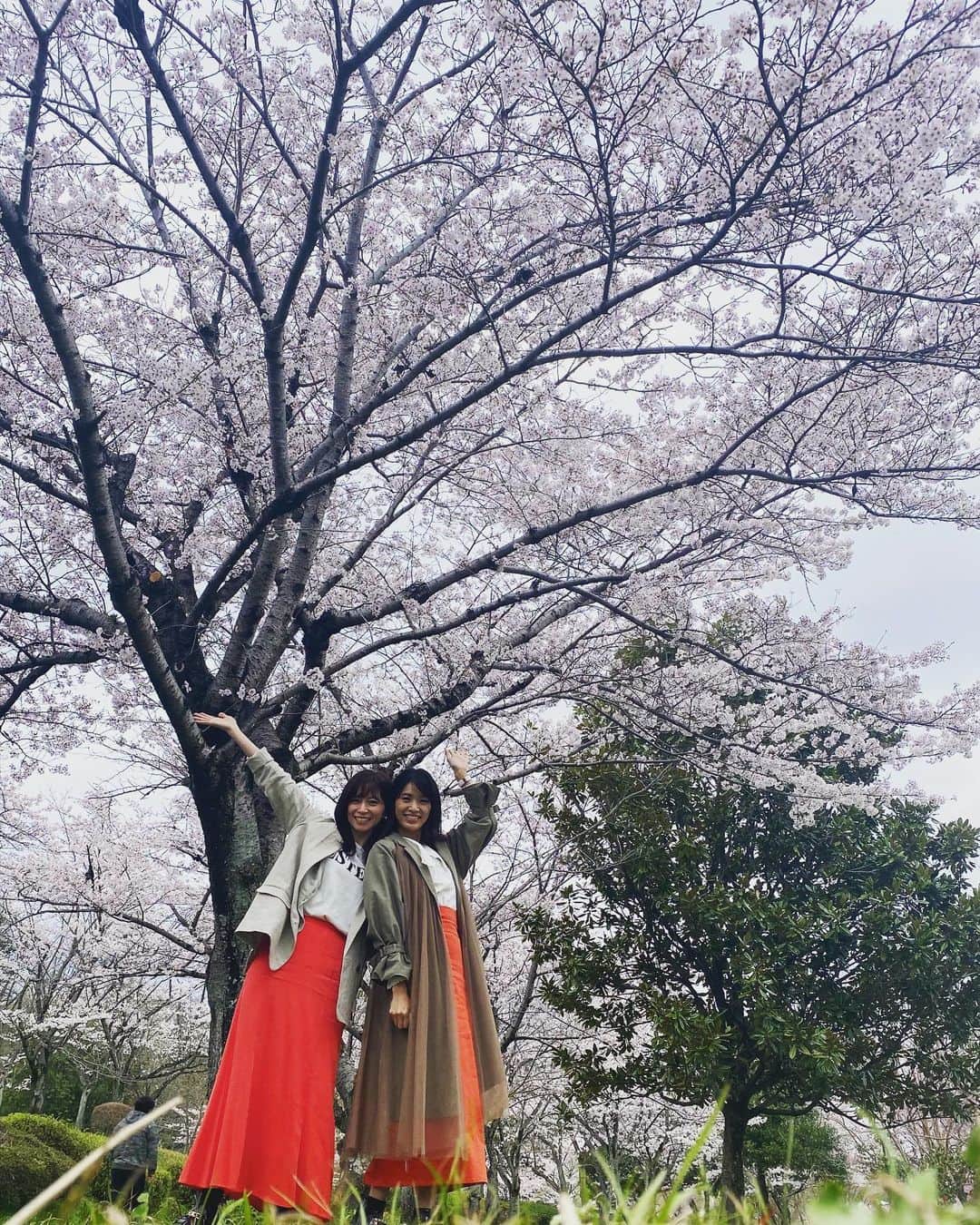 小野寺皐さんのインスタグラム写真 - (小野寺皐Instagram)「. . 丁度満開のときに安里ちゃんと桜の下を歩けました🌸 この春の素敵な思い出☺️✨ . . . . 偶然スカートが同じ色で会った瞬間びっくり😂 打ち合わせしなくてもこんなに同じ色合いのコーデになるとはっ♬ なんて気が合うの〜😍😍😍 . . . . . ランチで食べたスモークチーズのカルボナーラもとっても美味しかったなぁ😋 . @tre_di_wine  . . . . . . #model#japanesemodel#sakura#lunch#nagoya#モデル#日本人モデル#名古屋モデル#東京モデル#大阪モデル#ランチ#栄ランチ#矢場町ランチ#スモークチーズ#パスタ#カルボナーラ#桜#満開#お花見」4月8日 18時20分 - satsukionodera
