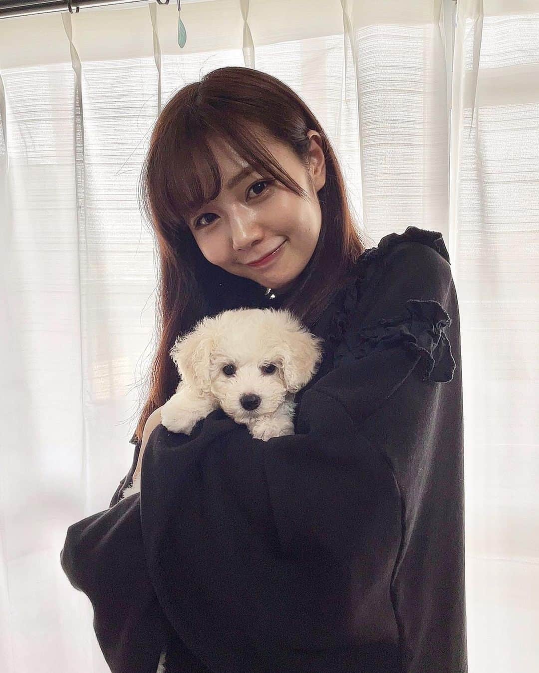 杉浦みずきのインスタグラム：「. 杉浦家に新しい家族が増えました✨ ビションフリーゼのらむねちゃんです🐶💓 もう既に幸せをたっくさんもらってます😂 ビションフリーゼは、大きくなったらモフモフモコモコになるので、（笑） 今の天使のような子犬ちゃんの時期が過ぎてしまうのは寂しいけど、 頭モフモフの可愛い姿が見られるのもとっても楽しみ😂😂 杉浦家に来てよかったって思ってもらえるように 愛をいっぱい注ぎます💓 これから宜しくね〜☺️ ・ ・ #ビションフリーゼ」