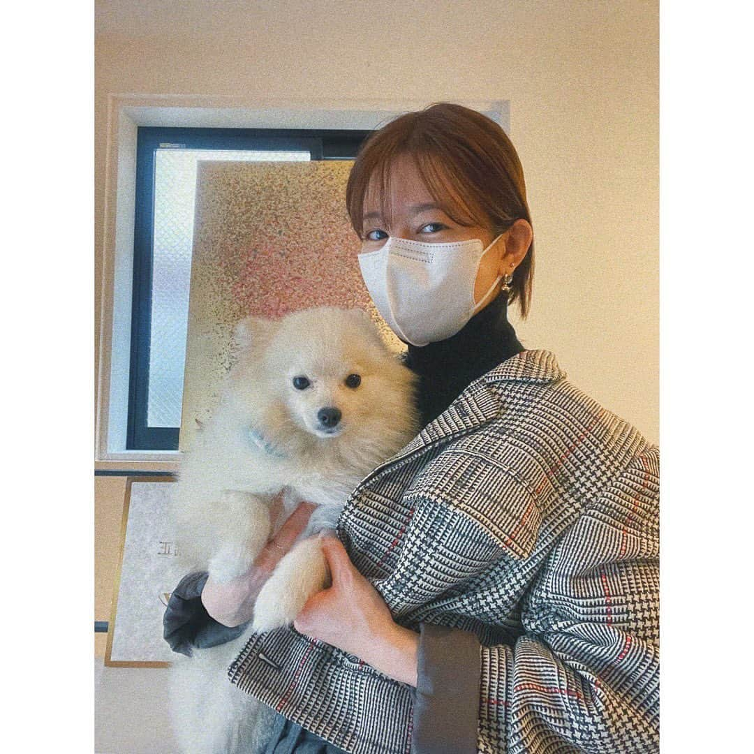 竹内美宥のインスタグラム：「あぼさんのぼあさん🐶 今年は美容の年にしようと思っていて あぼさんのところへお邪魔しました。 たぶん人生初エステサロン。 ご丁寧に施術して頂いて、本当にありがとうございました☺︎ @abokogao  @bellega_beauty」