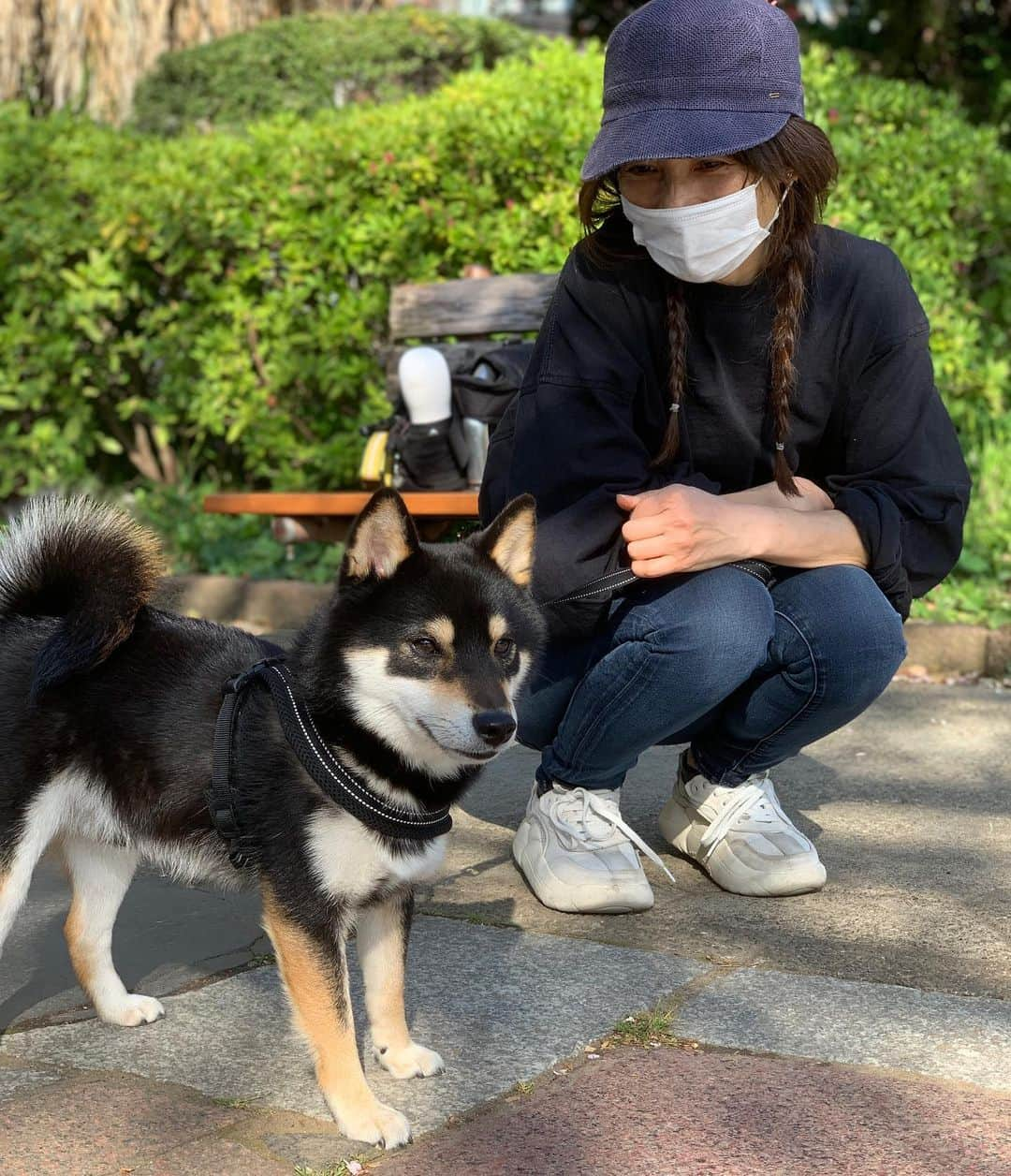 花田美恵子さんのインスタグラム写真 - (花田美恵子Instagram)「今日はカイくんと1日公園デー✨  たくさんお友達に会えて 楽しかったね🐕🐕🐕  #tokyolifestyle #weekend #shibainu #kawaii  #豆柴 #カイくん #2歳3ヶ月」4月9日 18時06分 - hawaiimieko