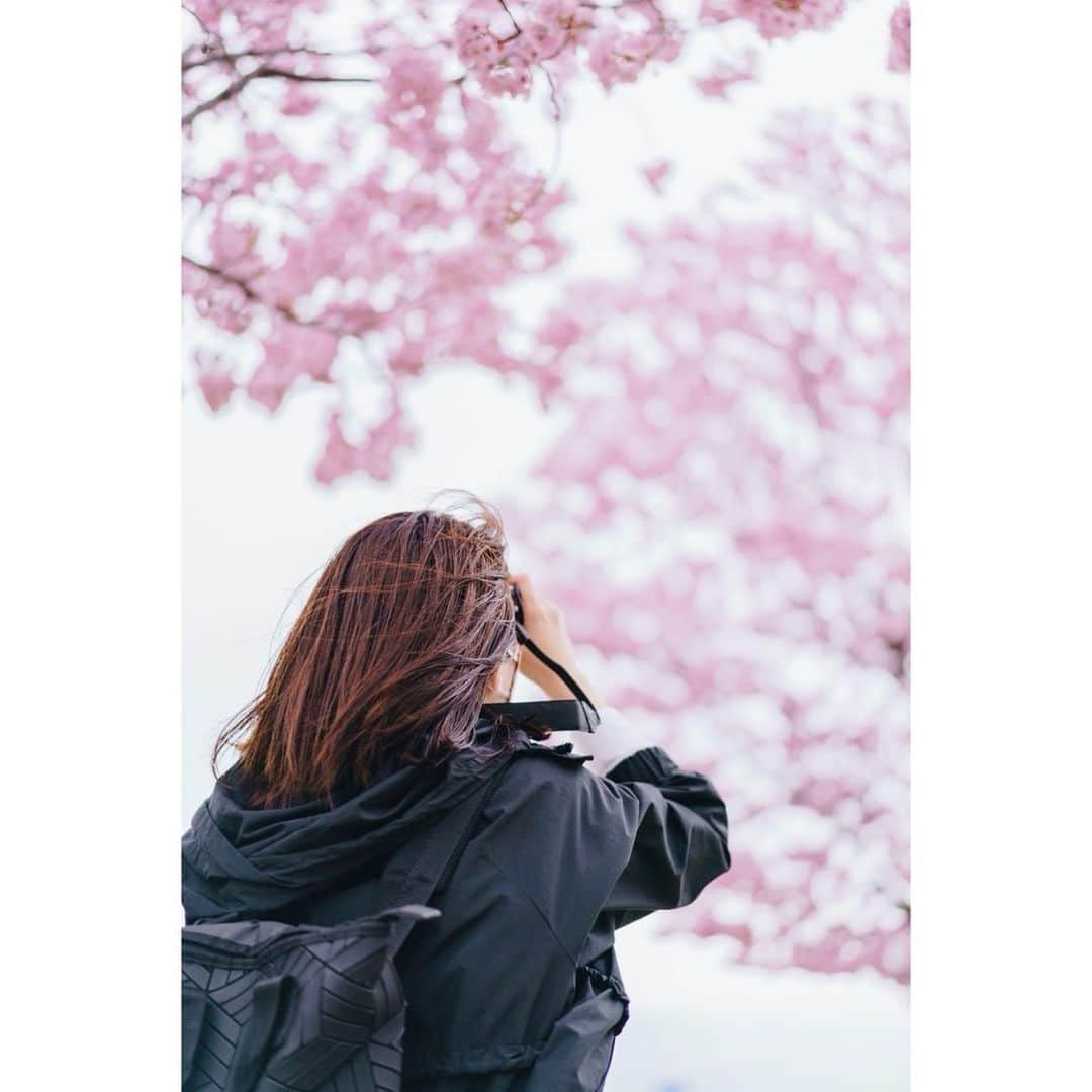田中萌さんのインスタグラム写真 - (田中萌Instagram)「* 桜の季節は一瞬ですね。  明日はひる12時〜 ABEMA的ニュースショーです  #動きやすさ重視」4月9日 17時20分 - moetanaka_ex