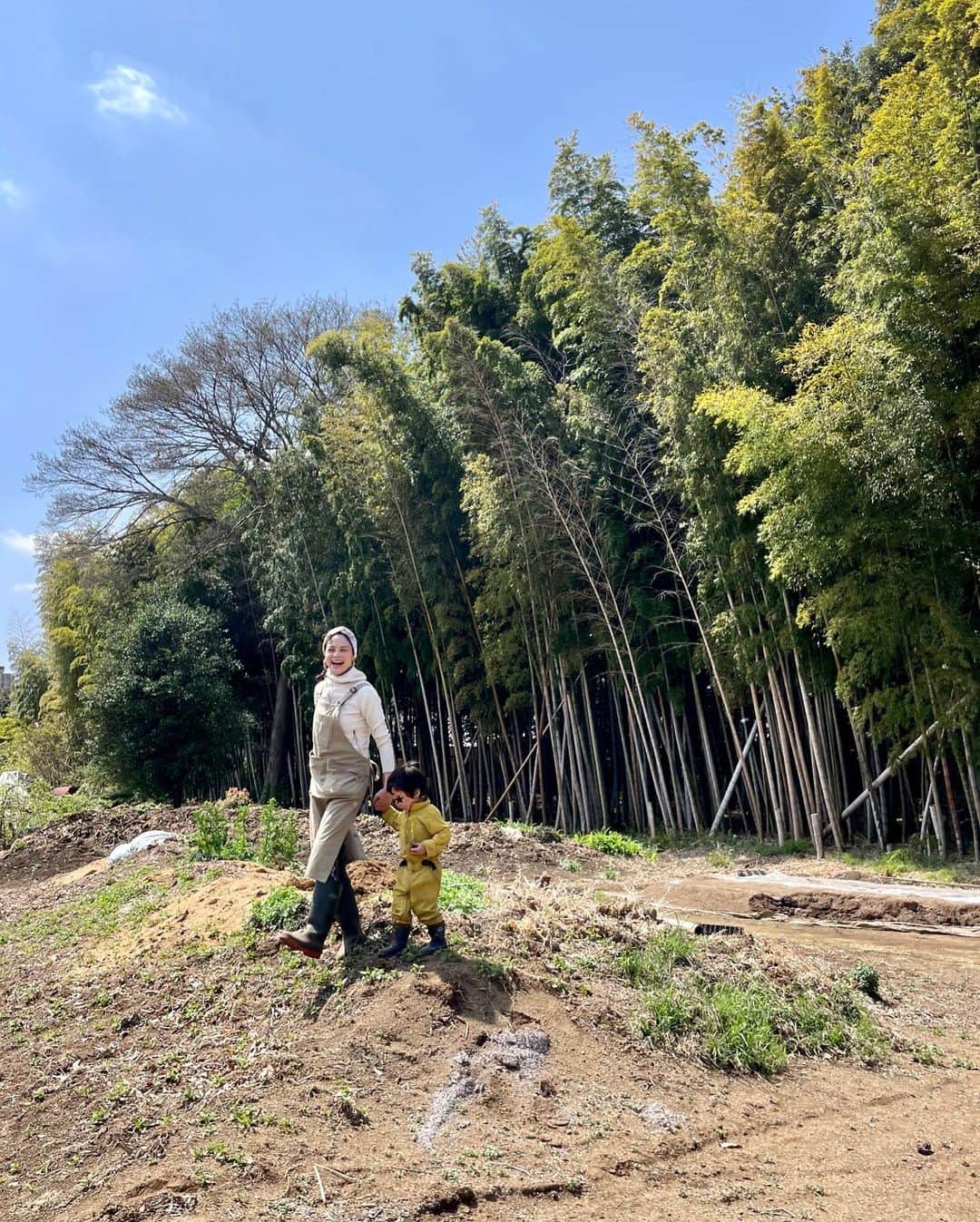 仲川希良のインスタグラム：「春の畑仕事が始まっております ・ 先月末にジャガイモの種芋を植えたのを皮切りに ラディッシュ、ニンジン、カブ、ダイコン、ホウレンソウ、キャベツ、ブロッコリー、コールラビ、ニラ…… ・ 息子が去年に比べてずいぶんと楽しめるようになって 今日はサトイモの種芋を穴に入れて土のお布団をかけてくれました 「しばらくネンネだね」と話した数分後に「もうサトイモ起きたかな！？」と言ってましたが笑 ・ ・ #🌱 #畑 #畑仕事」
