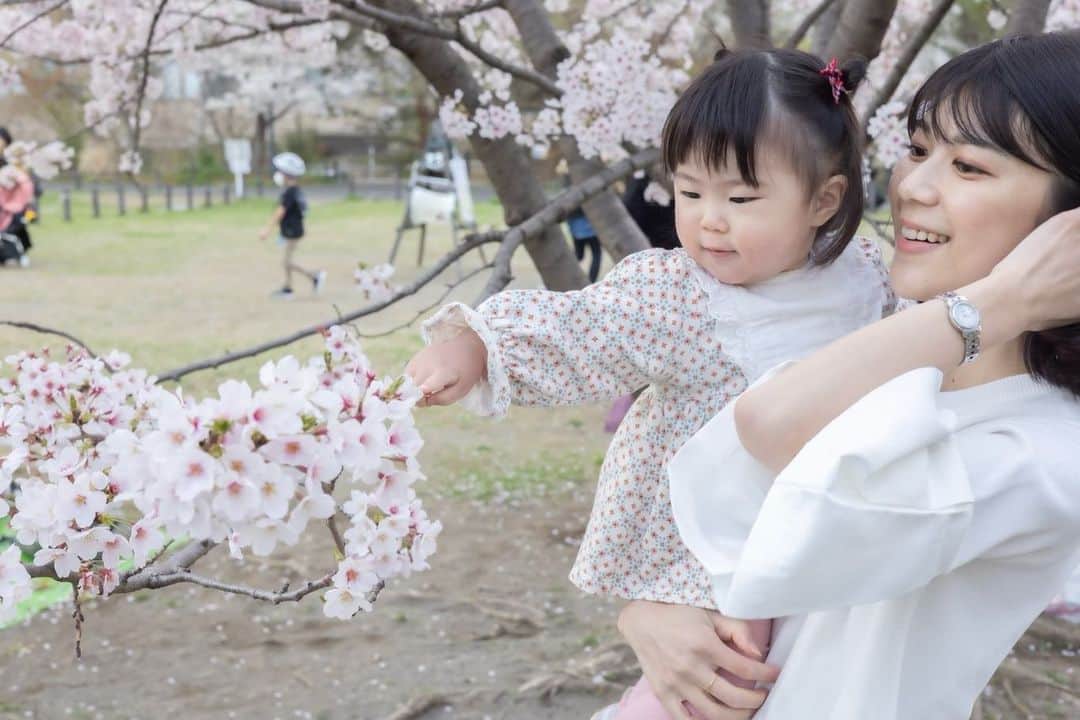 有地佐哉香のインスタグラム：「東京の桜はそろそろ見納めかな。 以前、お仕事をご一緒させていただいたスチールカメラマンの @sayaka_cam が、満開の桜の下、娘との写真を撮ってくれました。 歩行が安定し、とにかく歩きたい娘相手に、一瞬を逃さず写真におさめていただき…プロの技はすごいなぁ。  娘との写真、しかも何気ない瞬間のものはなかなか撮れないので、とてもいい記念になりました。 子どものペースを大事に穏やかな雰囲気の中撮影してくれる女性カメラマンなので、何かの節目などによかったら❤︎  #familyphotos #sakura2022 #桜　#ファミリーフォト　#撮影」
