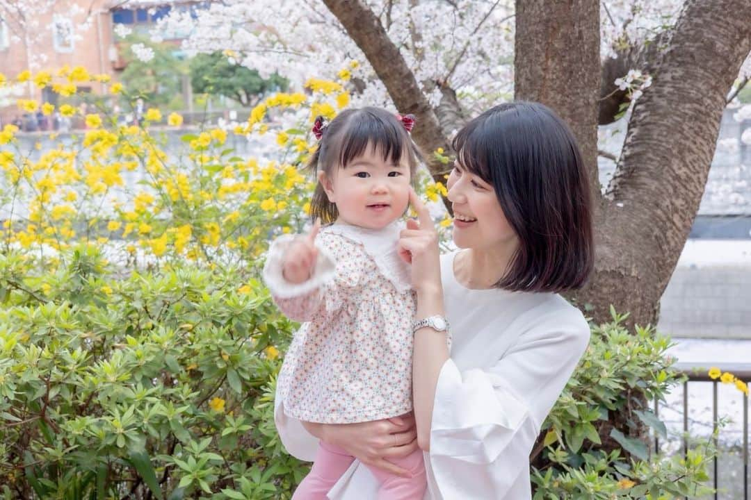 有地佐哉香さんのインスタグラム写真 - (有地佐哉香Instagram)「東京の桜はそろそろ見納めかな。 以前、お仕事をご一緒させていただいたスチールカメラマンの @sayaka_cam が、満開の桜の下、娘との写真を撮ってくれました。 歩行が安定し、とにかく歩きたい娘相手に、一瞬を逃さず写真におさめていただき…プロの技はすごいなぁ。  娘との写真、しかも何気ない瞬間のものはなかなか撮れないので、とてもいい記念になりました。 子どものペースを大事に穏やかな雰囲気の中撮影してくれる女性カメラマンなので、何かの節目などによかったら❤︎  #familyphotos #sakura2022 #桜　#ファミリーフォト　#撮影」4月9日 9時31分 - arichi_sayaka