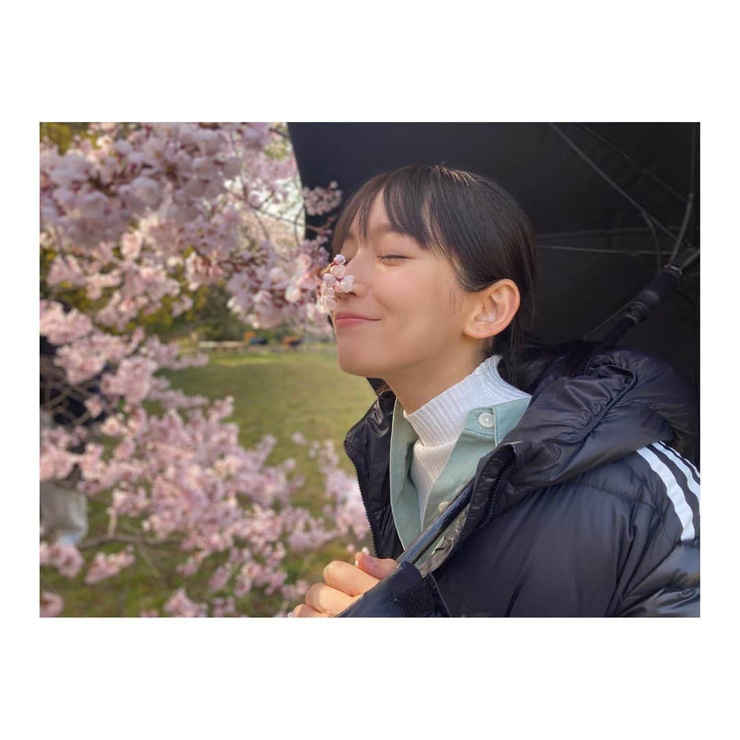 吉岡里帆さんのインスタグラム写真 - (吉岡里帆Instagram)「"dearにっぽん" 本日よりNHK総合で10時5分〜 放送開始します！  日本各地の瑞々しい風景とひたむきに生きる人たちを見つめるドキュメンタリー番組。  私はmiletさんと一緒に、 各週ナレーションを担当させて頂きます。 土曜の朝、お会いしましょう♪  @milet_music  #ドキュメンタリー #ナレーション #nhk  #日本」4月9日 9時49分 - riho_yoshioka