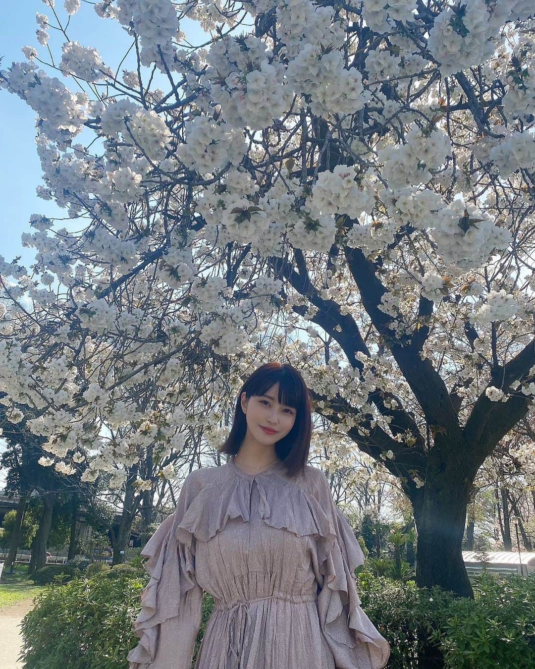 岸明日香さんのインスタグラム写真 - (岸明日香Instagram)「すんごい桜と撮影してきました💓  頭の中ケツメイシさん永遠りぴ。」4月9日 10時19分 - aspoo02