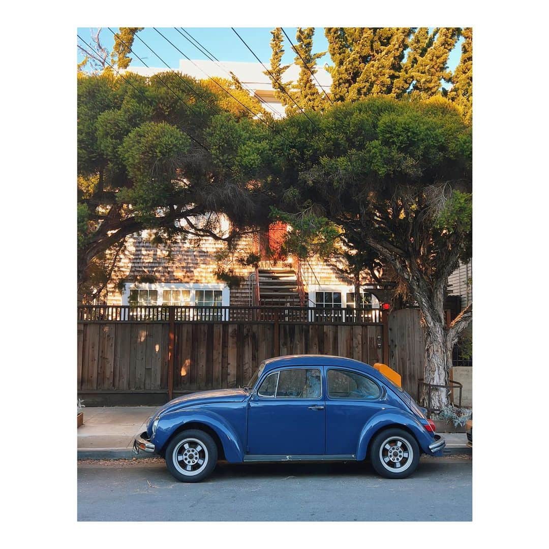 Melissa Santiagoのインスタグラム：「Punch buggy  Slug bug   🪲」