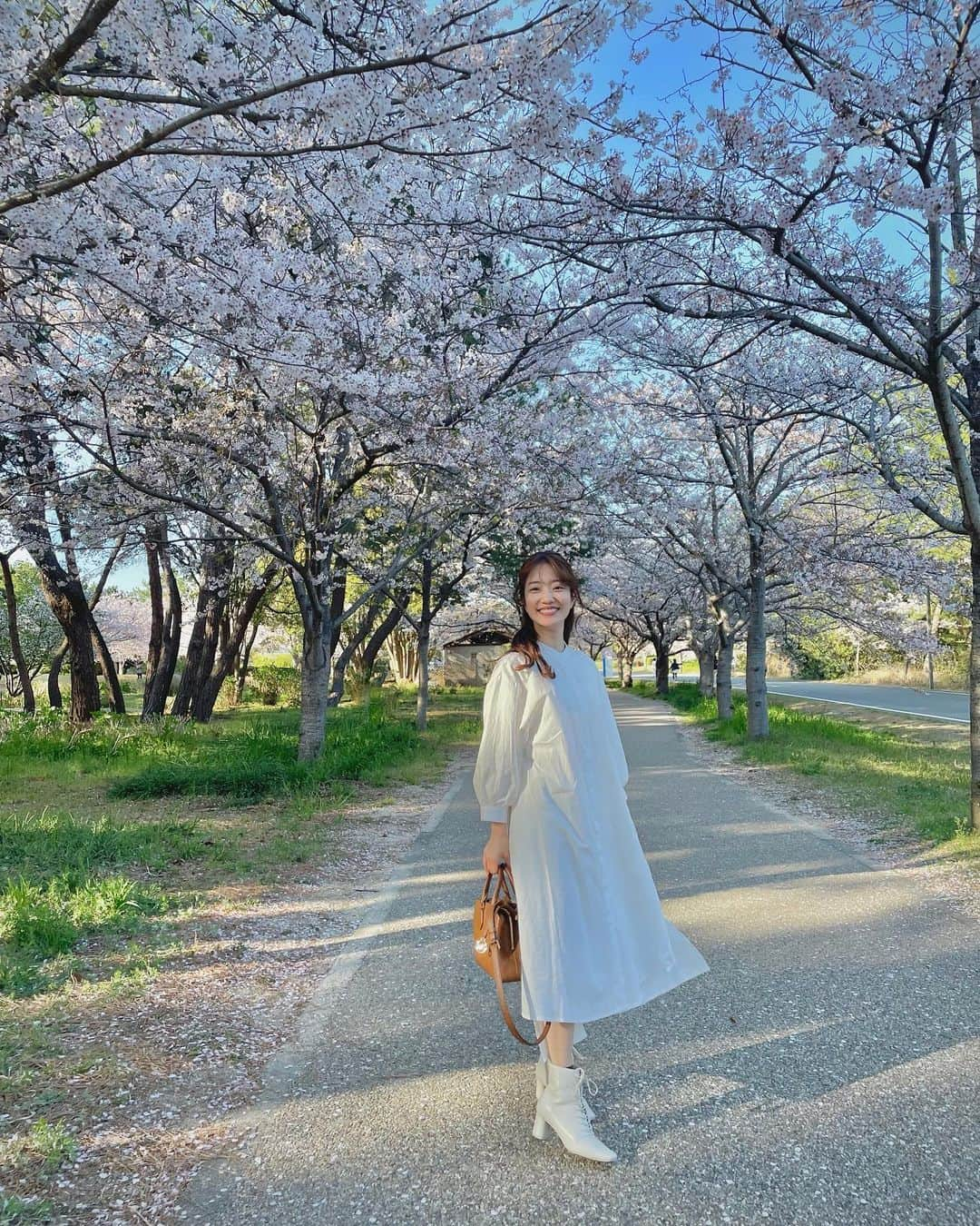 原直子さんのインスタグラム写真 - (原直子Instagram)「🌸🌸🌸  #桜並木 #桜並木道 #桜並木 #海の中道 #海の中道海浜公園 #春の風景 #福岡桜 #桜と空 #春が好き #春が来た #白ワンピース #白ワンピ #福岡お花見 #福岡観光 #福岡桜スポット」4月9日 13時24分 - naoko_15_hara