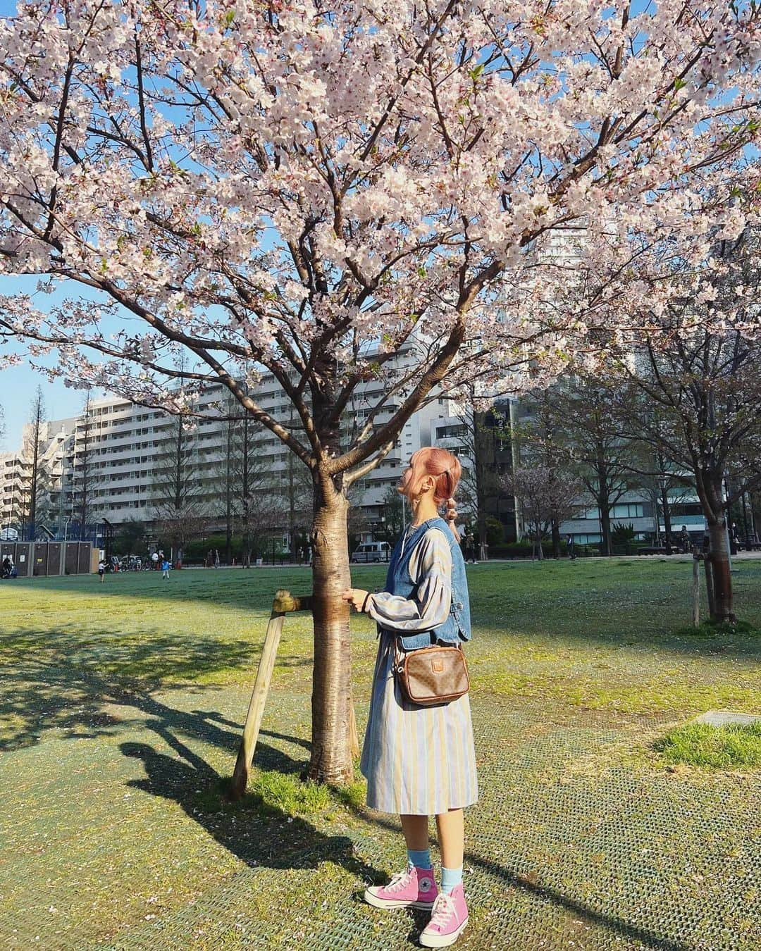 秋山衣梨佳さんのインスタグラム写真 - (秋山衣梨佳Instagram)「🌸🌸🌸 　 　 今年ラストくらいの桜🌸 3回目のワクチン行く時に見つけた👀 昨日の夕方に注射して、おそらく熱は出てない👍 ワクチンのあとは水分取る方がいいらしい。 倦怠感はすごい〜って感じ🙄 今日は家でゆっくりするゾ🏠☁️ . . 今日中にメルカリ頼んでくれた分は 明日発送予定です📦 それまでに売れなかったやつは 消すやつもあるから 気になってる人はチェックしてみてね✌️ 　 　 .」4月9日 14時03分 - akiyamaerika