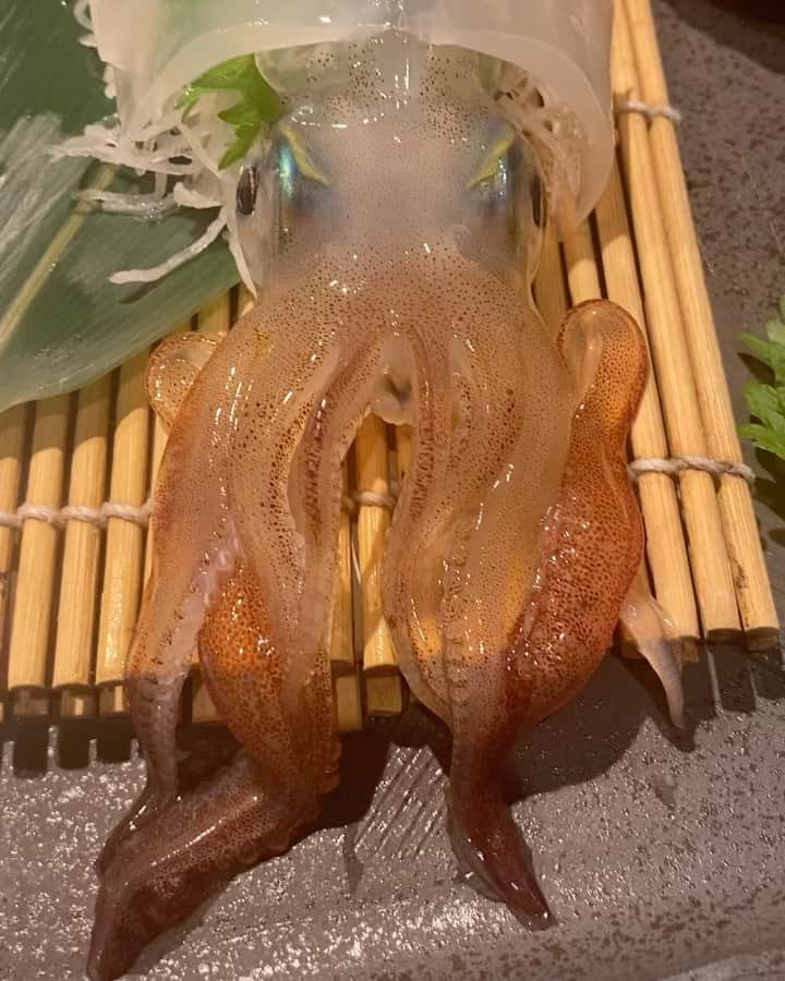 九州うまか 北浜店のインスタグラム：「本日泳ぎイカ入荷いたしました❕🦑 生け簀から水揚げしたイカを一匹まるごとお楽しみ下さい😊  #九州うまか #北浜 #大阪グルメ #北浜グルメ #居酒屋 #居酒屋グルメ #泳ぎイカ #馬刺 #インスタ映え #駅近 #駅近グルメ #イカ好きな人と繋がりたい #九州グルメ  #活けイカ#刺身盛り合わせ #うまいもん #焼酎#日本酒#女子のいる職場 #instagram #イカゲーム#いか」