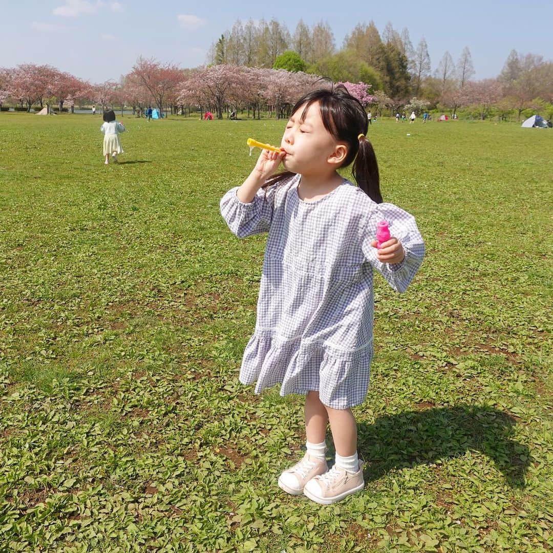 ゆうひなたのインスタグラム：「. . . シャボン玉に一生懸命で可愛いww. . . 左奥に見える小人は シャボン玉🫧を追いかけ回してる ひなたです。（笑）. . . 良い天気さいこーだった🥹☀️❤️. . . .」