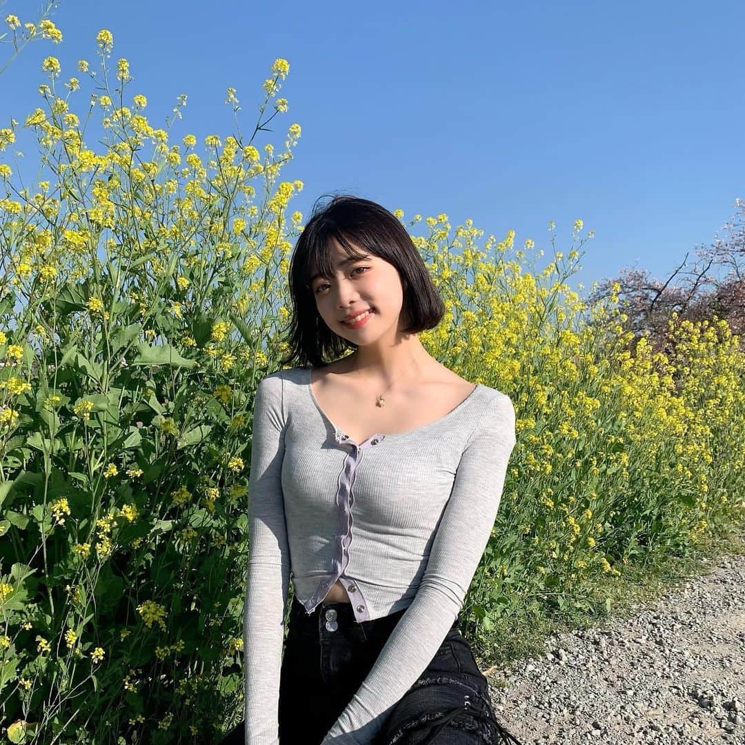 神田萌衣のインスタグラム：「菜の花綺麗でした🌼💗」