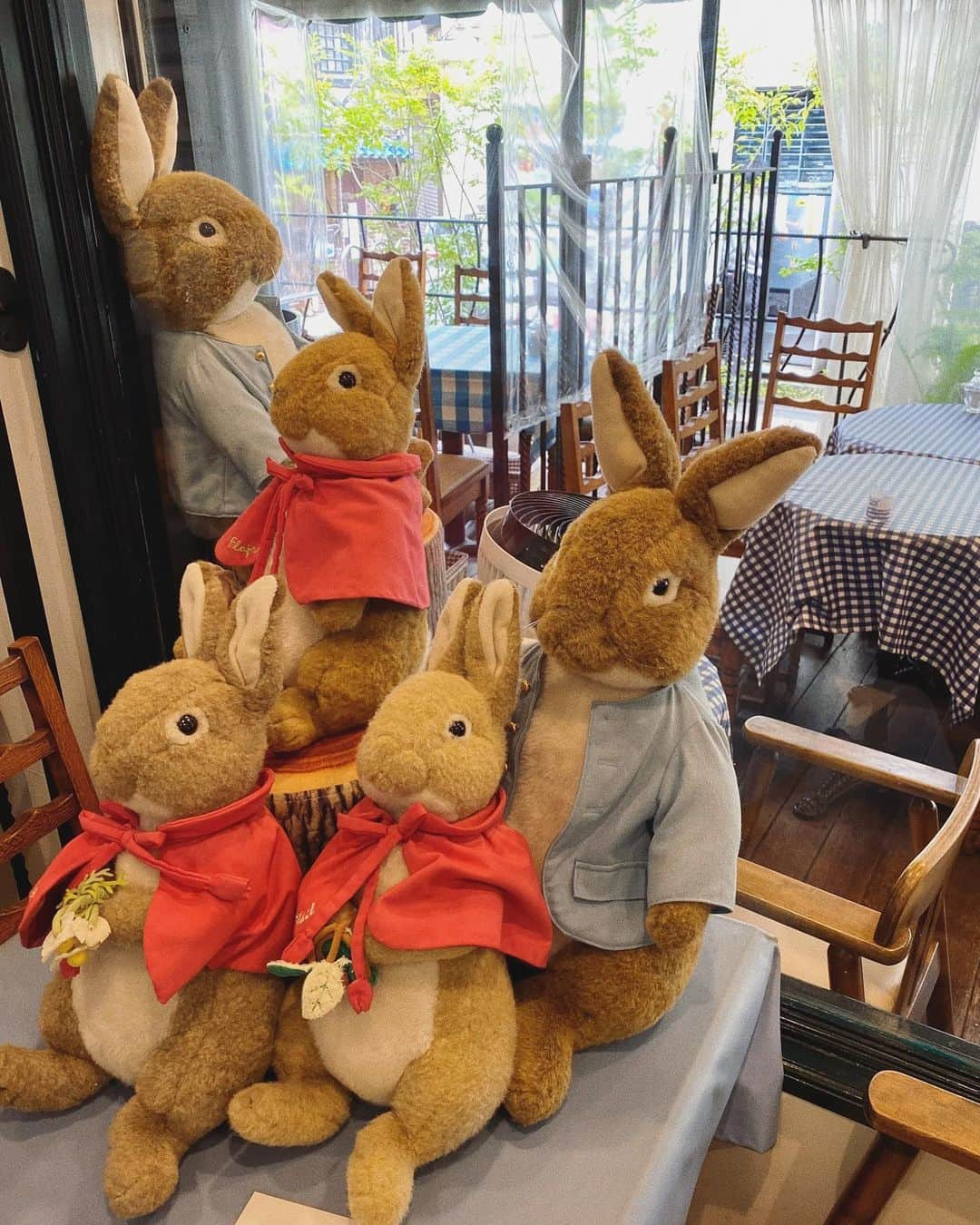 秋山衣梨佳さんのインスタグラム写真 - (秋山衣梨佳Instagram)「🐰🥕🌳 　 　 @#PETERRABBITGardencafé かわいいカフェ〜🐰🤍 正直ピーターラビット ちゃんと見たことないねんけど ままが好きやから行った🐰🐰 森の中にいるみたいだった🥕 自由が丘可愛いお店多いね🎀 　 　 #ピーターラビットカフェ#ピーターラビット#自由が丘カフェ#自由が丘」4月9日 20時52分 - akiyamaerika