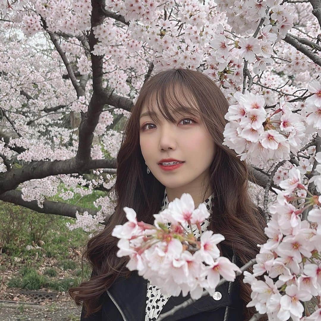 永瀬那奈のインスタグラム：「桜そろそろ散って来ちゃったね🌸 満開の時に見れて良かった🙆‍♀️ おななは小さい頃梅が身近だったから梅も好きだよ🥸💓  #新宿御苑 #桜 #お花見 #あったかく幸せ #花粉が辛い」
