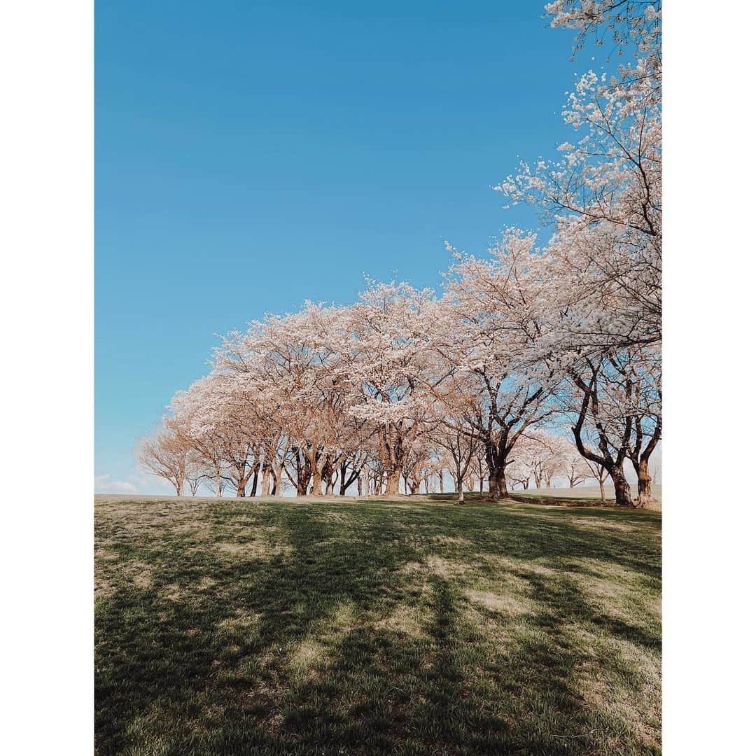 紗栄子さんのインスタグラム写真 - (紗栄子Instagram)「今日はとっても綺麗で幸せな1日となりました😌🌸 @nasufarmvillage」4月9日 23時48分 - saekoofficial