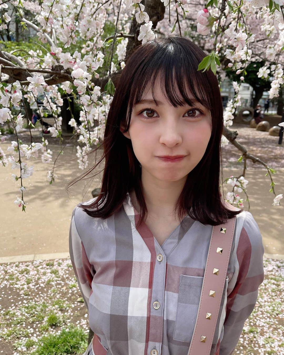 沖口優奈さんのインスタグラム写真 - (沖口優奈Instagram)「さくらの季節もおわりかけ」4月9日 23時46分 - yuna_okiguchi_