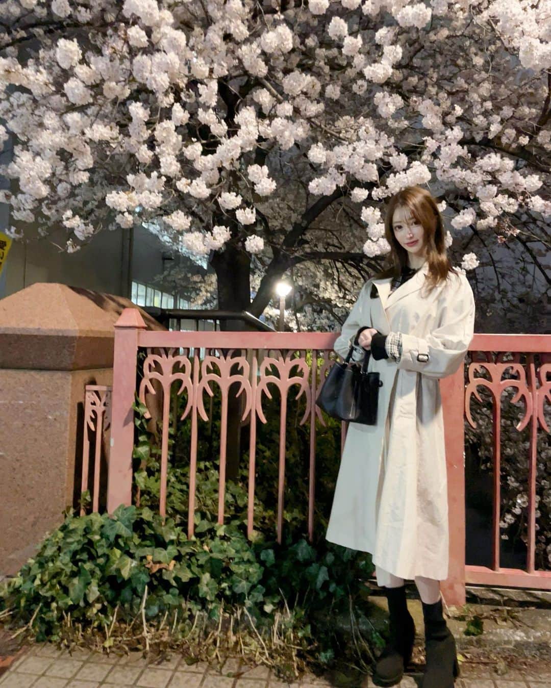松山英礼奈さんのインスタグラム写真 - (松山英礼奈Instagram)「載せ忘れ🌸🌌  #桜 #お花見 #夜桜 #フィルターミスった #キラキラ #🌸 #✨」4月10日 0時16分 - hiiiiiiii0802