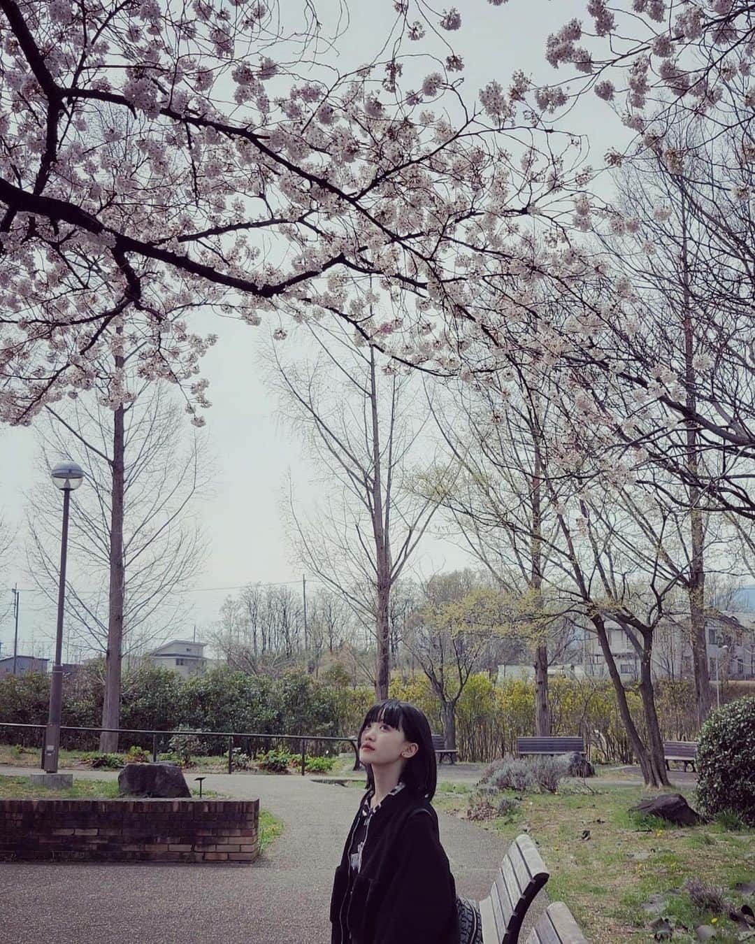 日永麗のインスタグラム：「日永麗です。 インスタ初投稿！ Twitterに乗せてない写真や、詩を載せようと思ってます☺️ #桜」